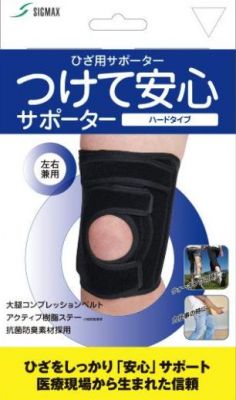 日本シグマックス