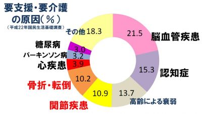変形性膝関節症