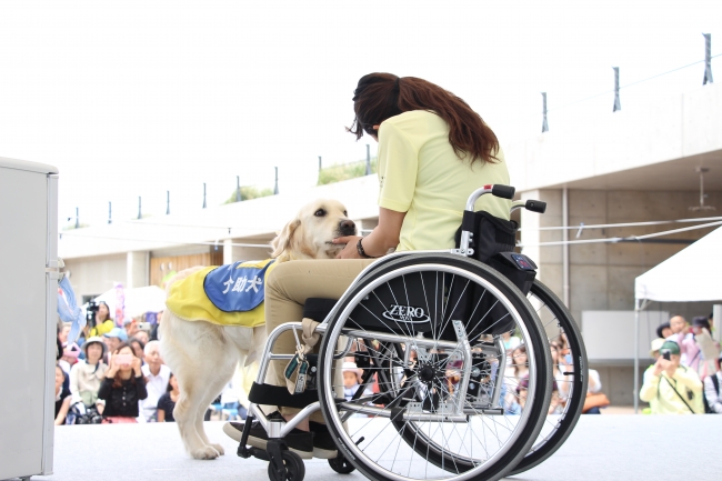 日本介助犬協会