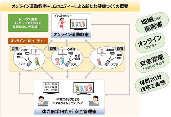 オンライン健康づくりシステム